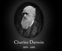آگاهی، فرگشت، علم، داروینیسم